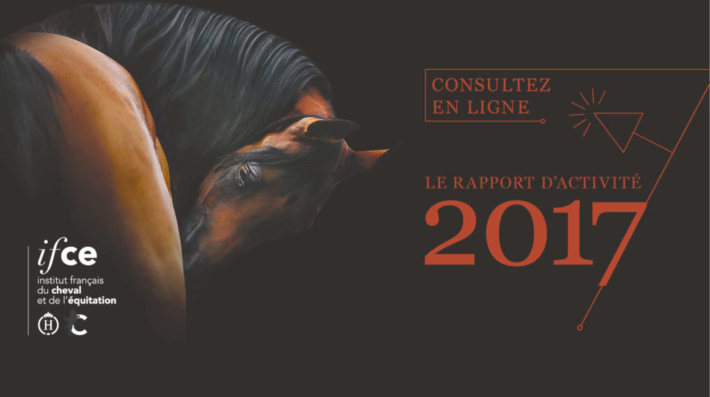 découvrez l’ifce, l’institut français du cheval et de l’équitation : organisme de référence pour la filière équine en france. formations, expertise, ressources et accompagnement pour passionnés et professionnels du cheval.