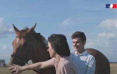 ifce : tout savoir sur l’institut français du cheval et de l’équitation