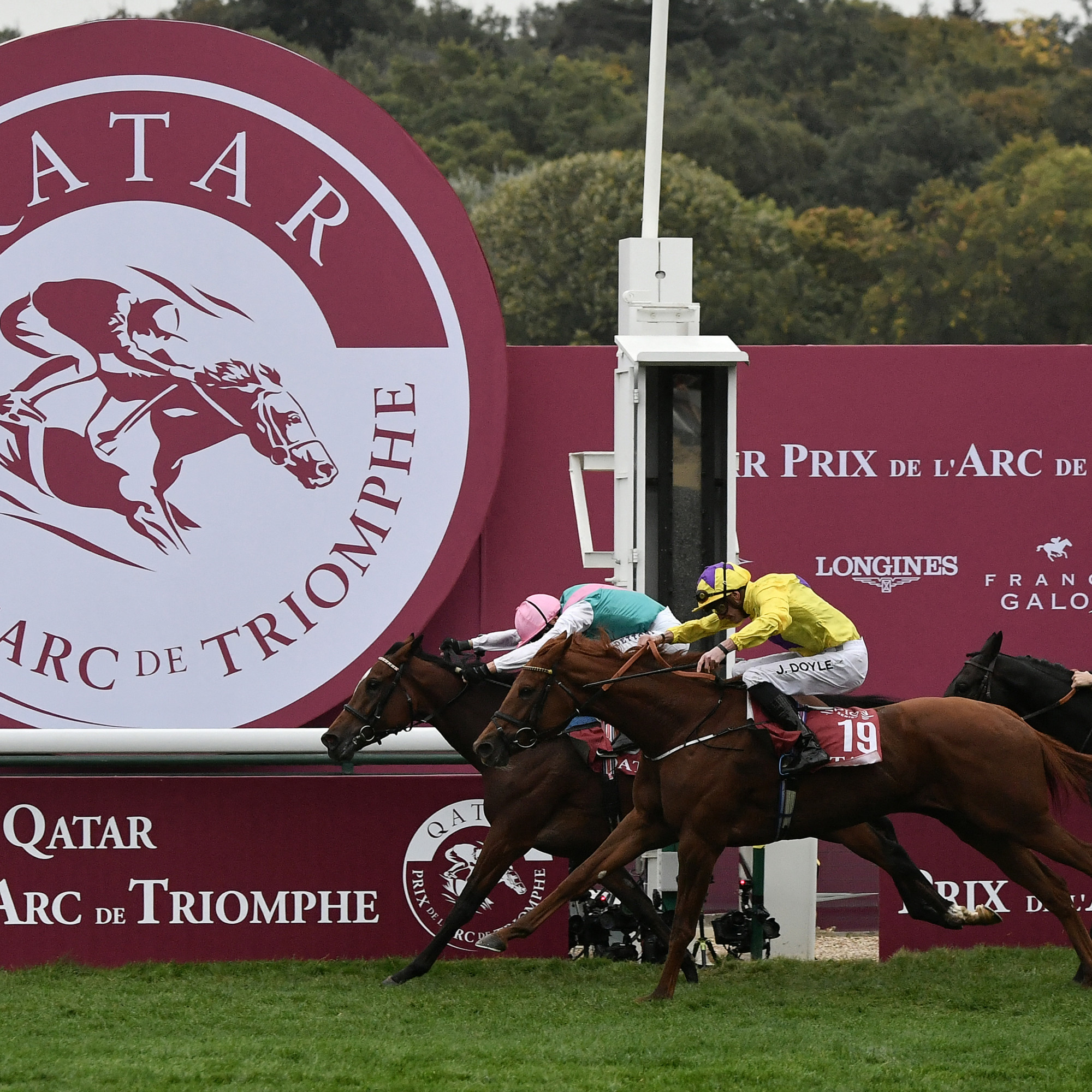 découvrez les meilleurs pur-sang normands présentés à l'occasion du prix de l'arc 2025 : origines, performances et opportunités d'investissement dans ces chevaux d'exception.