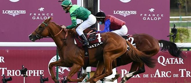 Hippisme : Sept splendides pur-sang normands s&rsquo;élanceront lors du prestigieux Qatar Prix de l&rsquo;Arc de Triomphe 2025