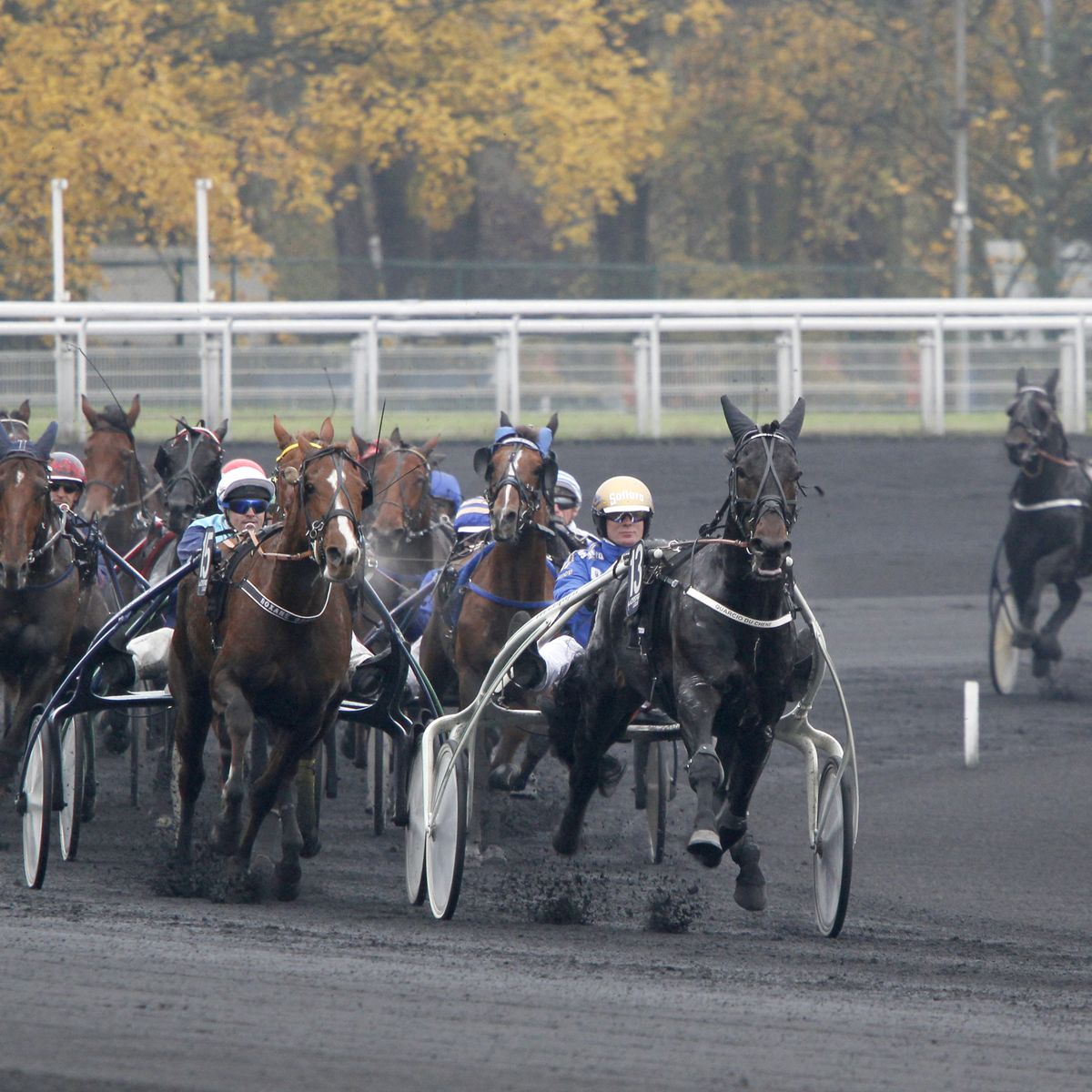 Prévisions pour le Quinté du 4 Octobre : Focus sur le Qatar Prix de la Place de la Concorde – R1C4 – Conseils de Paris et Agenda PMU Turf