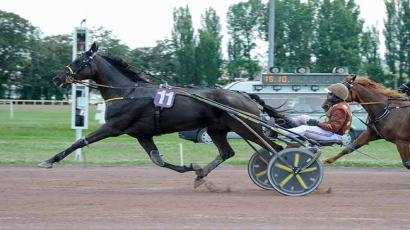 découvrez les enjeux du quinté+ à beaumont-de-lomagne avec 9 millions d’euros en jeu au pmu. analyse, pronostics et conseils pour maximiser vos chances de gagner sur cette course exceptionnelle.