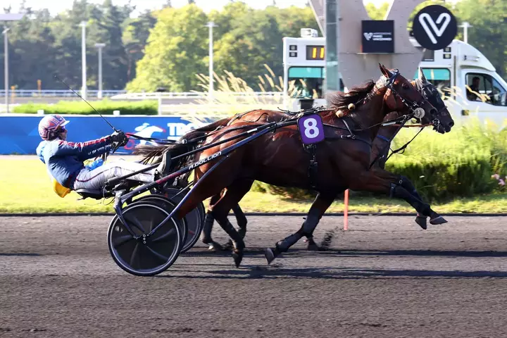 Prévisions pour le Quinté du Vendredi 3 Octobre – Prix Ludovica – R1C4 : Les conseils gagnants du jour et le programme PMU Turf