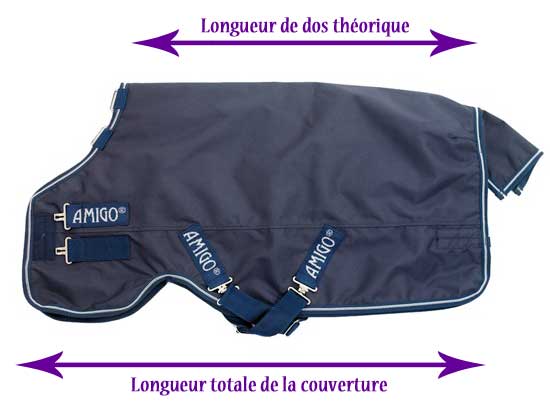 Assurance cheval : comment bien choisir sa couverture pour protéger votre équidé ?