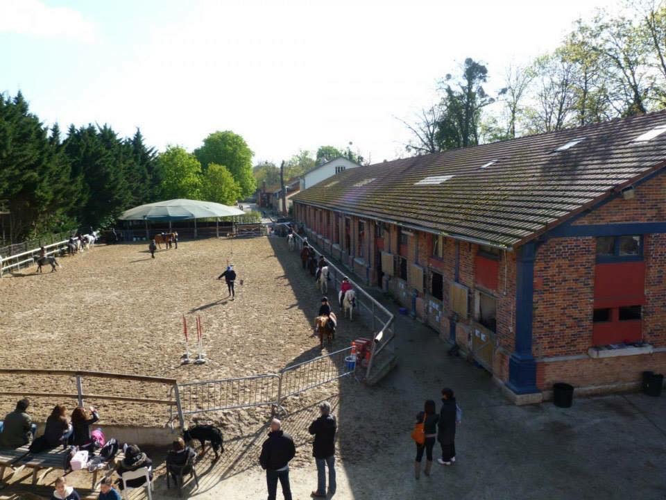 Centres équestres à Paris : où monter à cheval dans la capitale ?