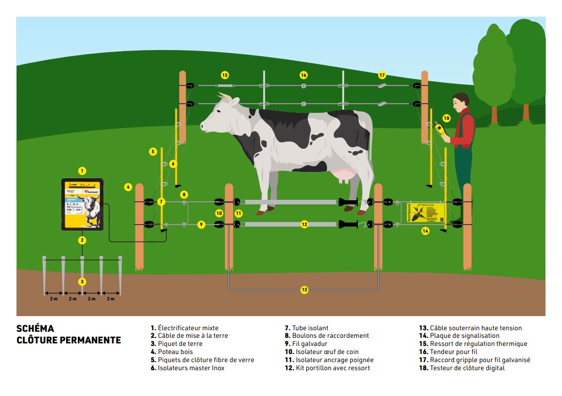 découvrez comment choisir la clôture idéale pour sécuriser vos chevaux, alliant sécurité, confort et durabilité pour leur bien-être.