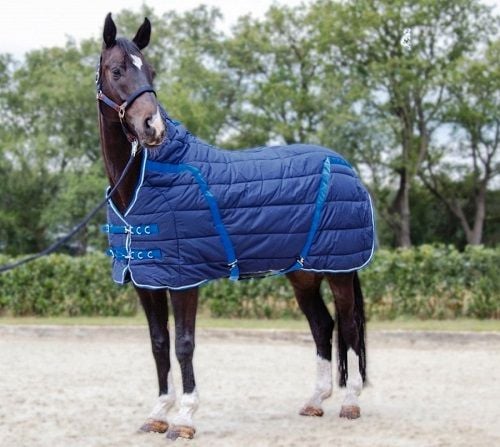 découvrez nos conseils pour bien choisir une couverture pour votre cheval, adaptée à ses besoins et aux conditions climatiques.