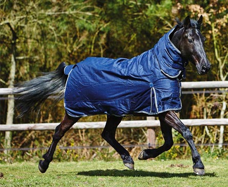 Robe cheval : comment choisir la couverture idéale pour votre monture ?