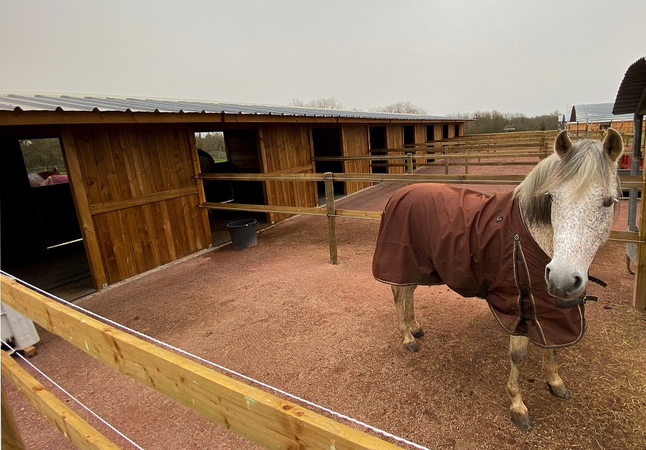 Trouver une écurie autour de moi : conseils et astuces pour bien choisir