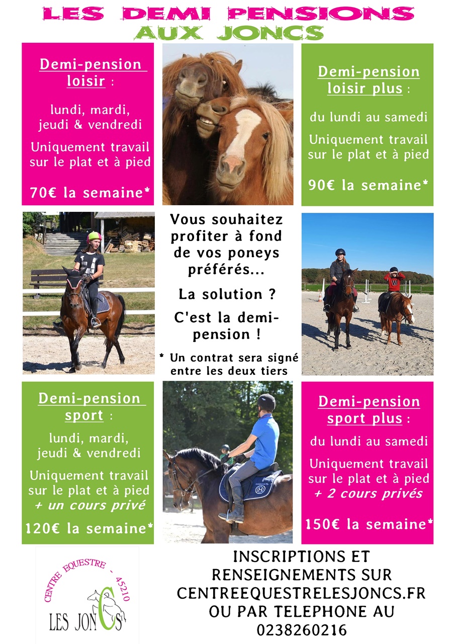 découvrez comment choisir la pension idéale pour votre cheval en tenant compte de ses besoins, de votre budget et des installations disponibles pour garantir son bien-être.