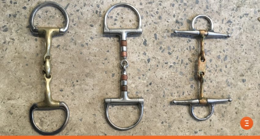 Comment choisir le bon mors pour son cheval : conseils et astuces pour cavaliers débutants et confirmés