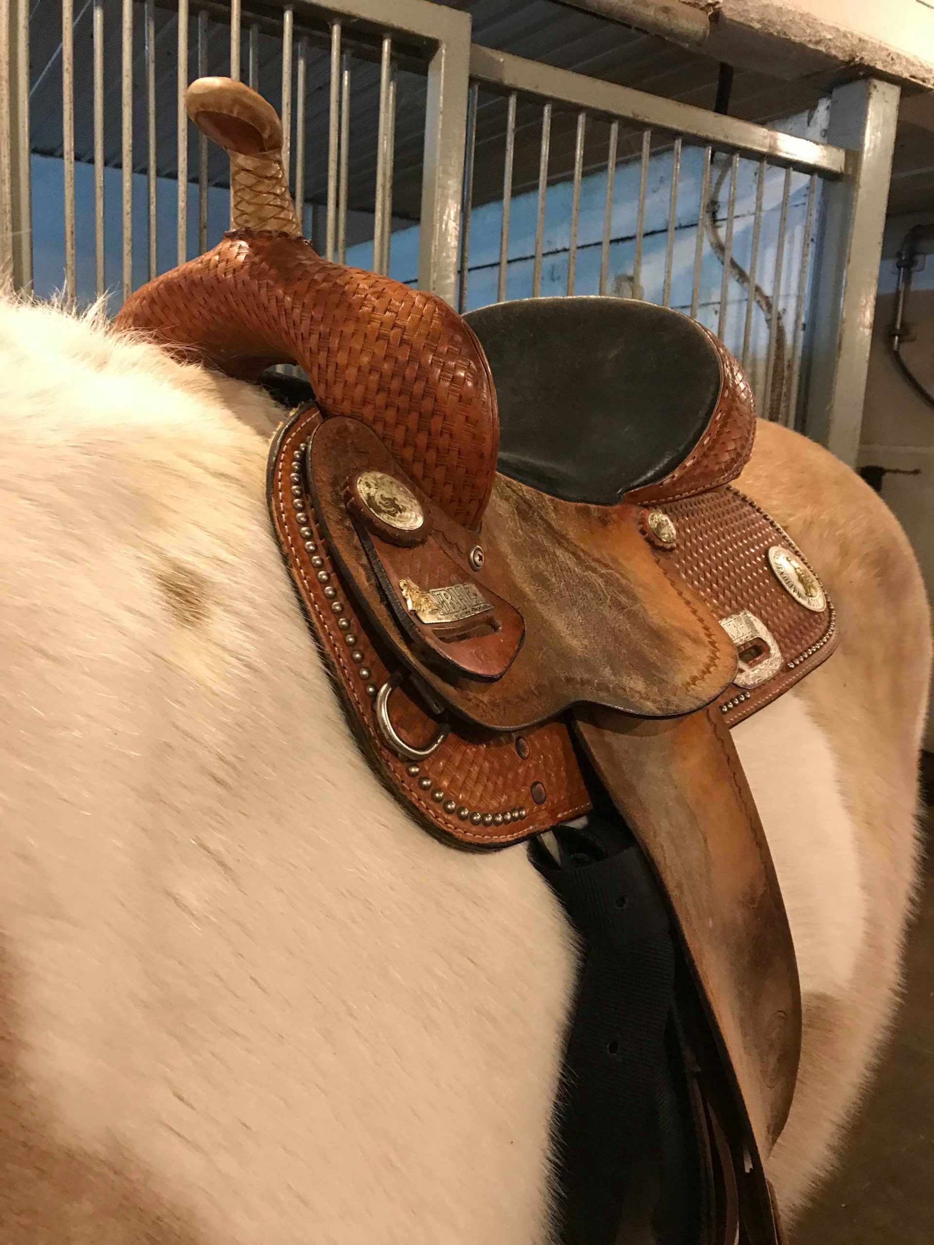 découvrez comment choisir la selle western idéale pour un confort optimal et une performance maximale lors de vos sorties à cheval.
