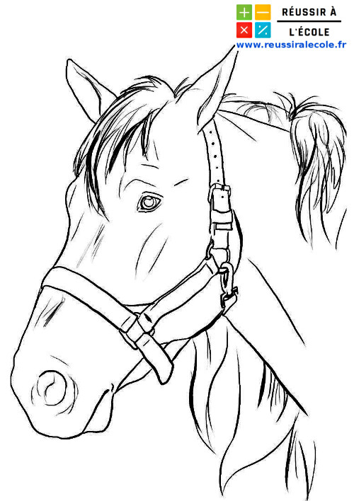téléchargez et imprimez gratuitement des coloriages de chevaux pour enfants et amateurs. des dessins simples et amusants à colorier dès maintenant !