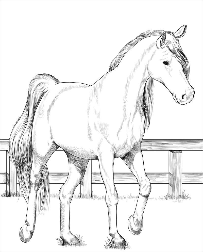 Coloriage cheval à imprimer : des dessins gratuits pour petits et grands
