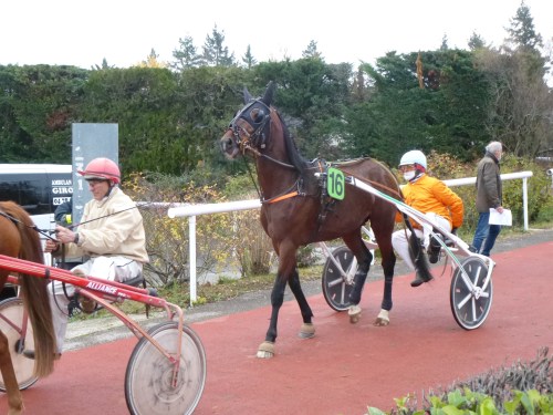 capital turf : conseils et astuces pour optimiser vos gains aux courses hippiques
