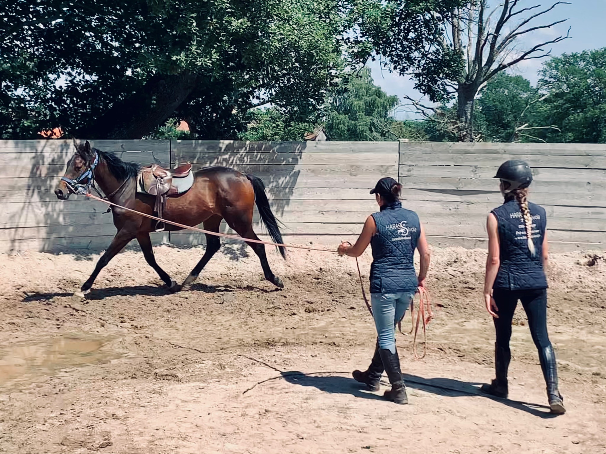découvrez les méthodes efficaces et les conseils pratiques pour le débourrage du cheval, afin d'assurer une éducation respectueuse et réussie de votre équidé.