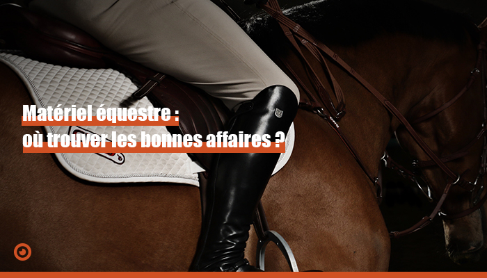 découvrez notre guide essentiel sur la demi-pension cheval, une solution idéale pour partager les soins et le plaisir de l'équitation sans les contraintes d'une pleine propriété.