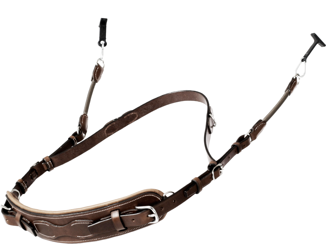 Tout savoir sur freejump : conseils, avantages et équipements pour cavaliers