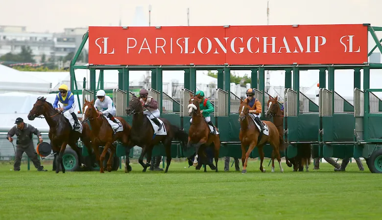 découvrez comment exploiter l'historique des courses pmu pour optimiser vos paris et améliorer vos stratégies de jeu.