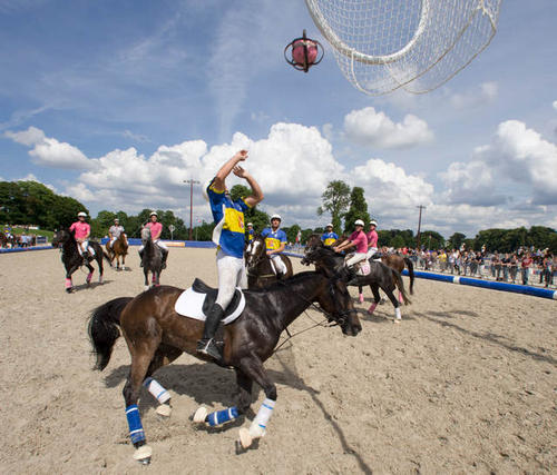 découvrez le horse ball, un sport équestre passionnant alliant équitation et ballon. apprenez les règles clés pour maîtriser ce jeu dynamique et stratégique.