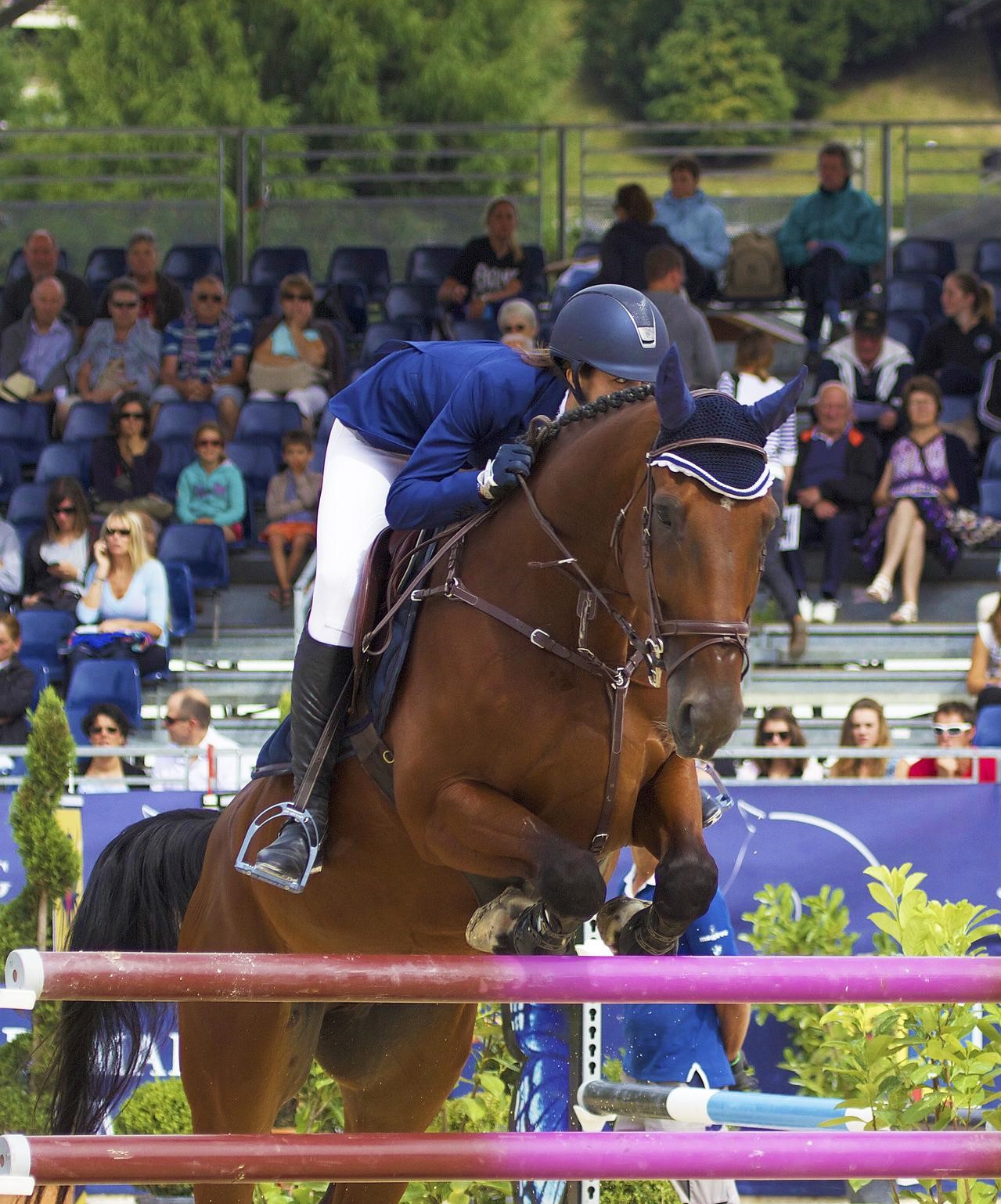découvrez l’initiation au cso (concours de saut d’obstacles) : les bases, les conseils pour débuter et les astuces pour progresser à cheval en toute sécurité et avec plaisir.