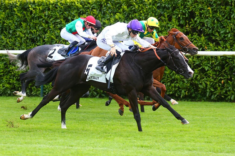 D’une novice à copropriétaire : une gagnante de concours PMU prend part au Prix de Bretagne avec son cheval