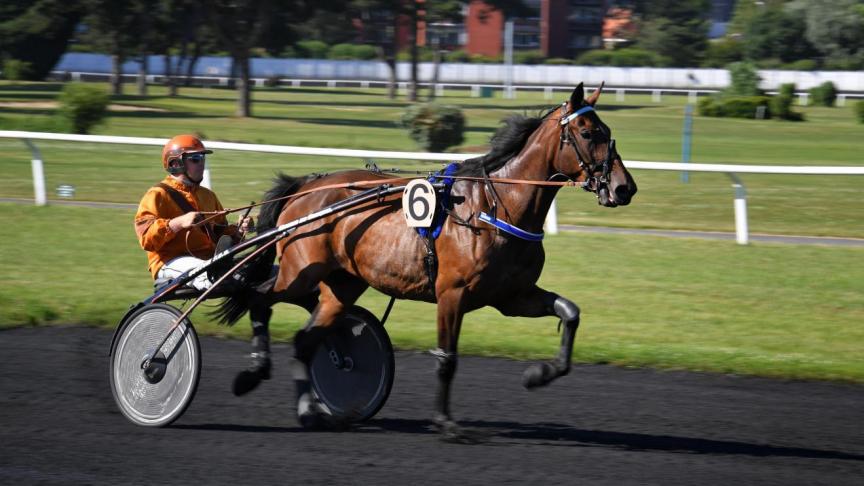 Capital turf : tout savoir pour bien parier sur les courses hippiques