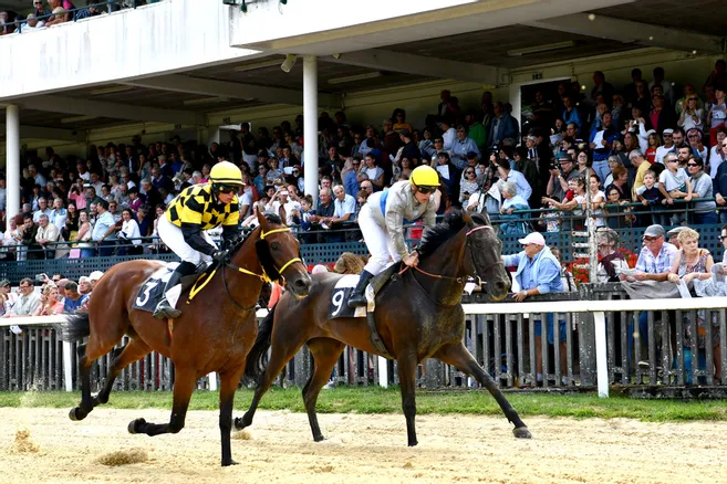 découvrez comment parier sur les courses hippiques avec nos conseils experts. maximisez vos chances de gains grâce à des stratégies simples et efficaces pour les passionnés de courses de chevaux.