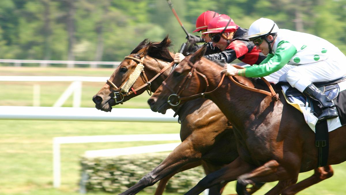REPORTAGE. PMU en difficulté : un manque d&rsquo;initiatives pour séduire les jeunes générations inquiète l&rsquo;avenir