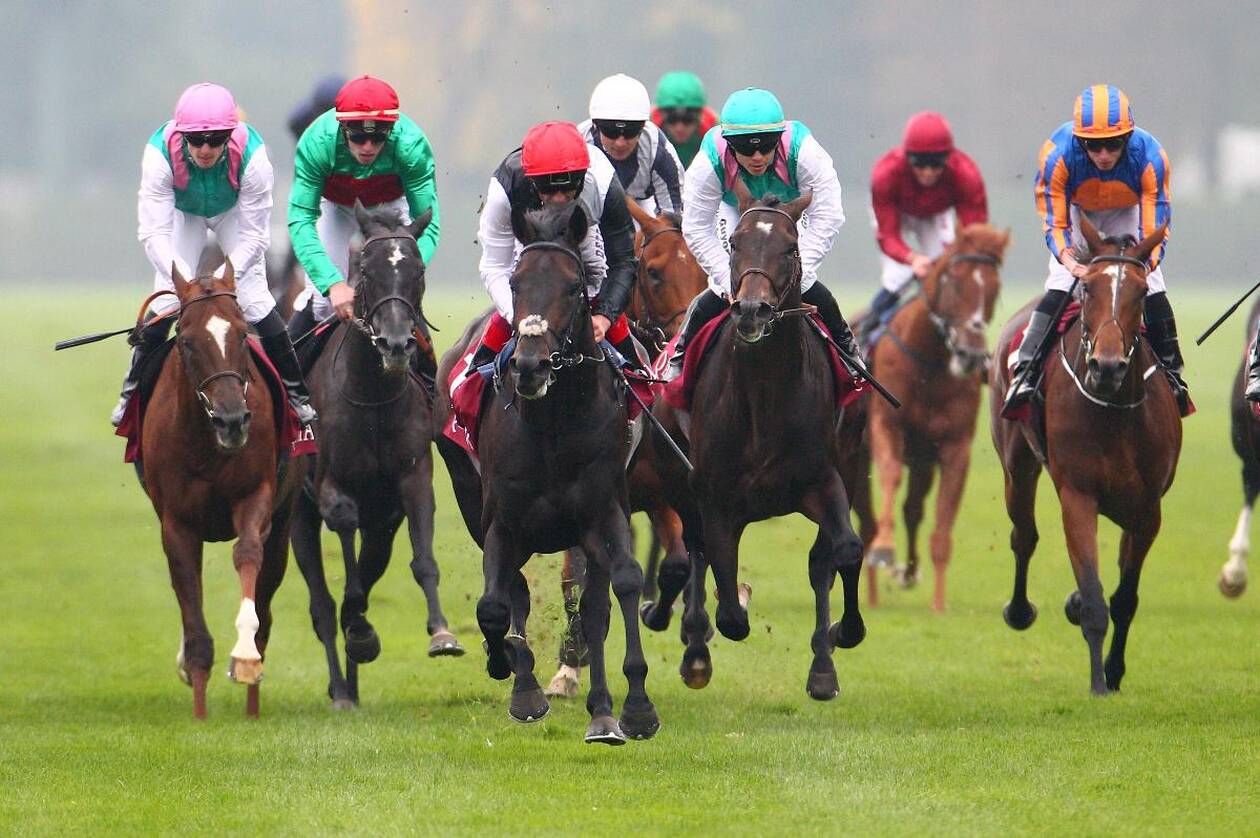 découvrez comment le pmu innove pour dynamiser les paris hippiques et offrir une expérience de jeu enrichie et captivante à tous les amateurs de courses.