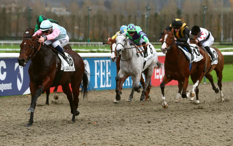Les analystes dévoilent leurs prévisions pour la première réunion hippique à Deauville ce mercredi 26 novembre