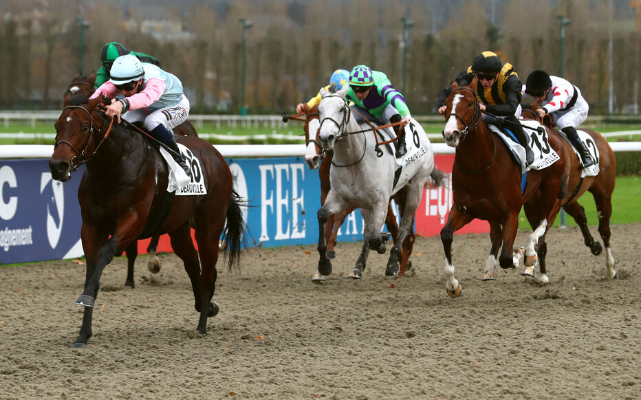 Les analystes dévoilent leurs prévisions pour la première réunion hippique à Deauville ce mercredi 26 novembre