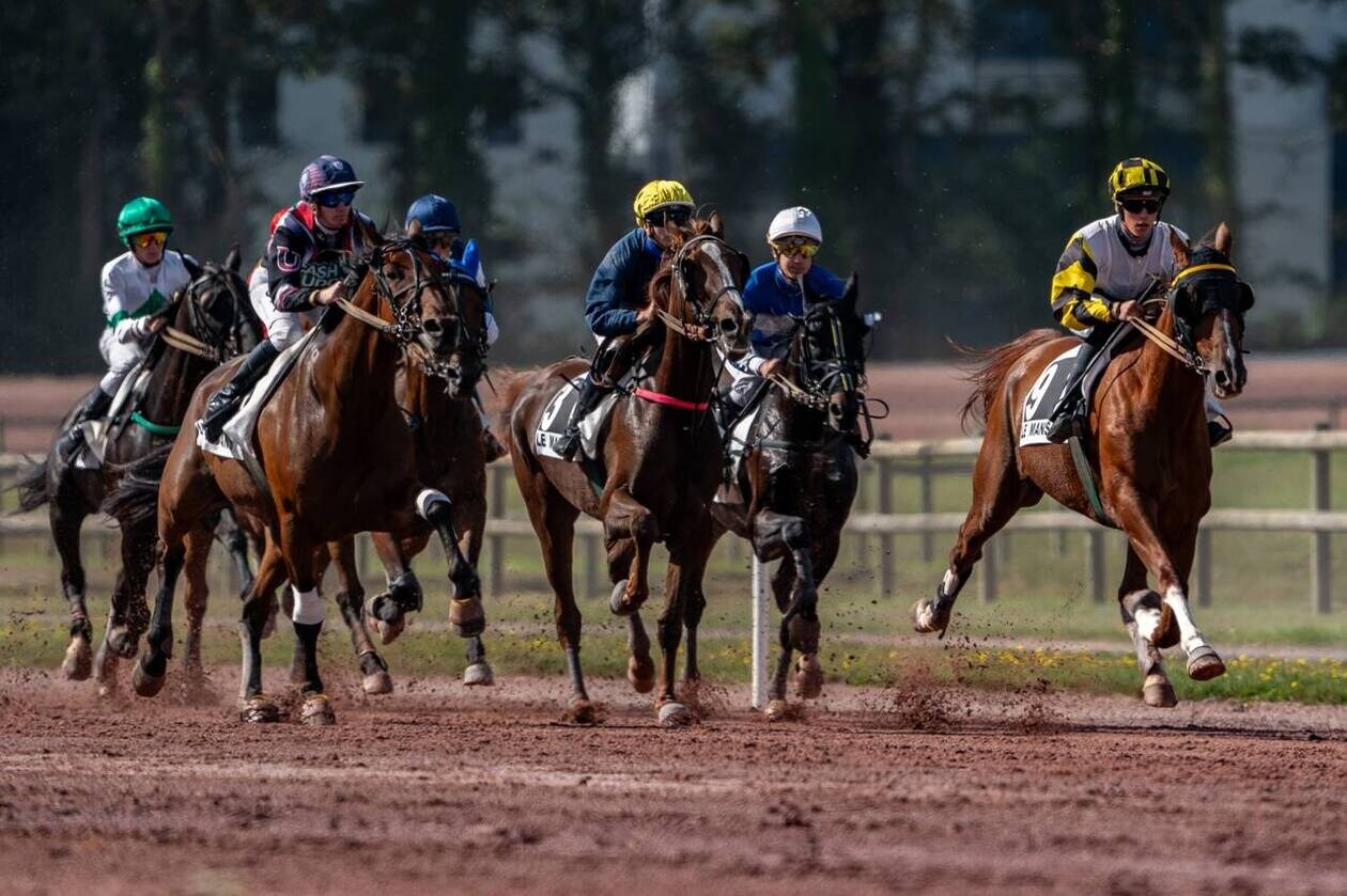 découvrez les pronostics hippiques du 30 novembre pour maximiser vos chances de gains grâce à nos analyses et conseils experts.