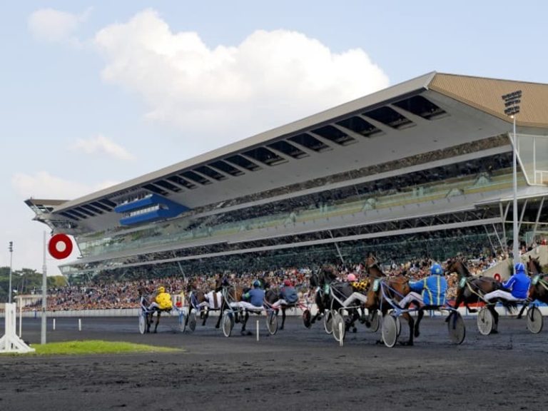 Les pronostics hippiques incontournables pour ce dimanche 30 novembre