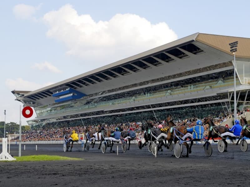 Les pronostics hippiques incontournables pour ce dimanche 30 novembre