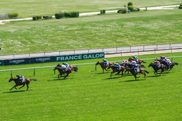 consultez les résultats du quinté du jour en temps réel et suivez les performances des chevaux pour ne rien manquer des courses.