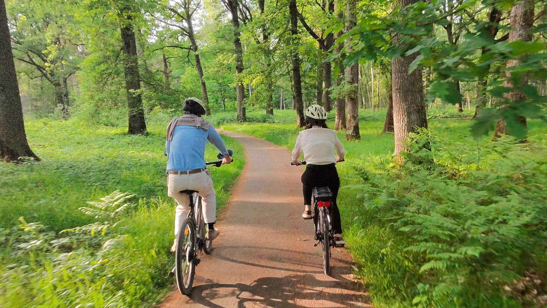 découvrez une balade à vélo guidée entre versailles et rambouillet, avec des arrêts gourmands pour savourer les spécialités locales. une expérience alliant sport, nature et gastronomie !