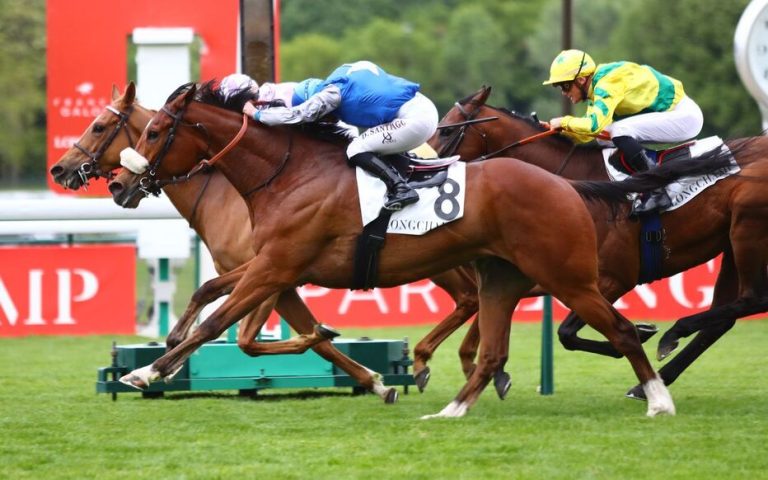 Quinté Plus PMU : Je Te Cherche en duel face aux meilleurs chevaux internationaux