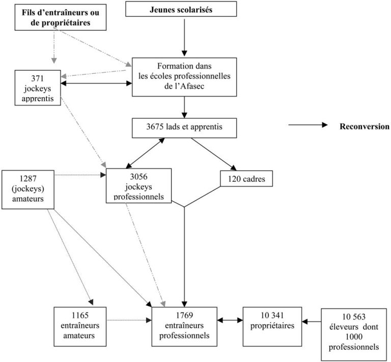 Tout savoir sur les différentes filières turf et leurs débouchés professionnels