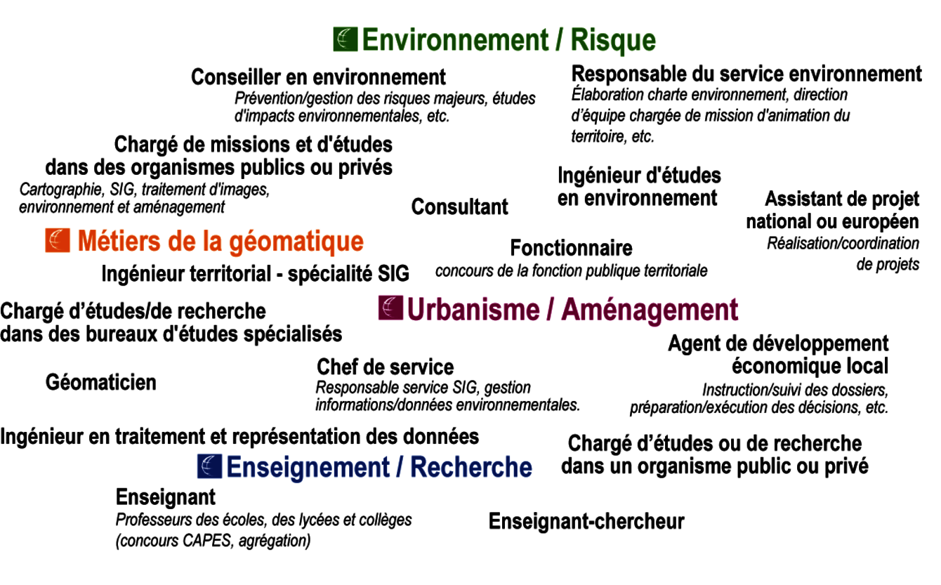 découvrez les filières turf, leurs formations spécialisées et les débouchés professionnels dans le secteur des courses hippiques et des paris.