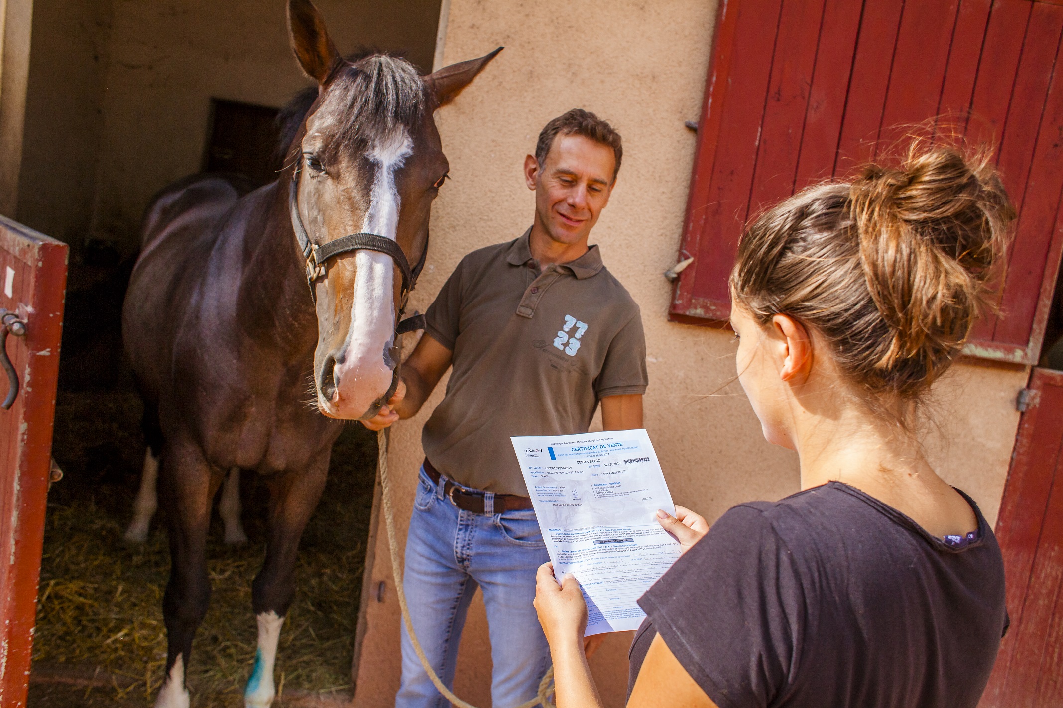 participez à notre forum cheval dédié aux ventes et achats sécurisés. échangez, vendez et achetez en toute confiance avec une communauté passionnée.