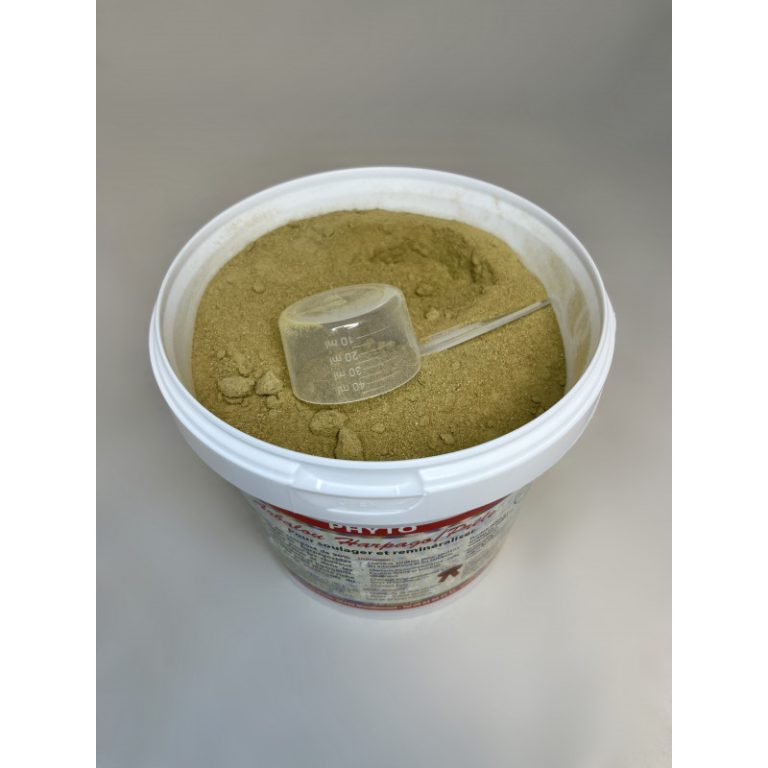 Harpagophytum pour cheval : quels bienfaits pour la mobilité et le confort articulaire ?