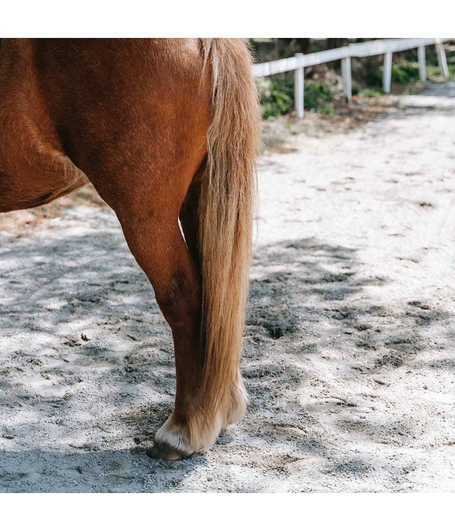 découvrez les bienfaits de l'harpagophytum pour chevaux et ses usages pour améliorer leur bien-être et soulager leurs douleurs.