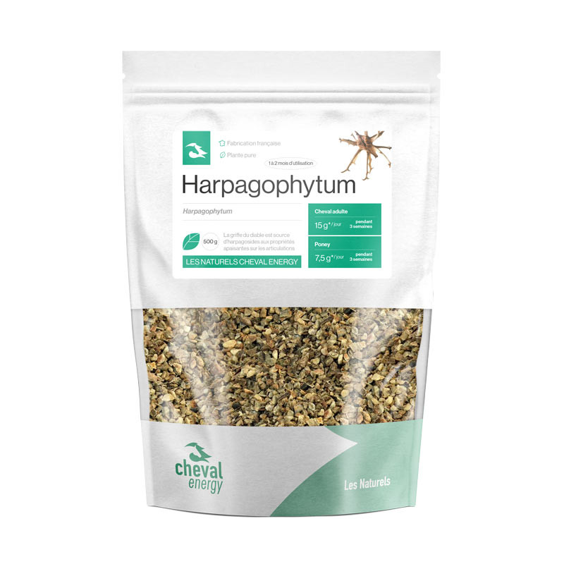 Harpagophytum pour chevaux : bienfaits, utilisation et conseils pratiques