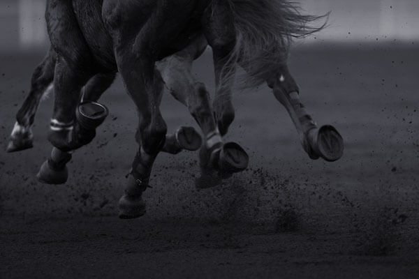 Joël Séché, le Mayennais, prolongé à la présidence par intérim du PMU jusqu&rsquo;à fin février 2026