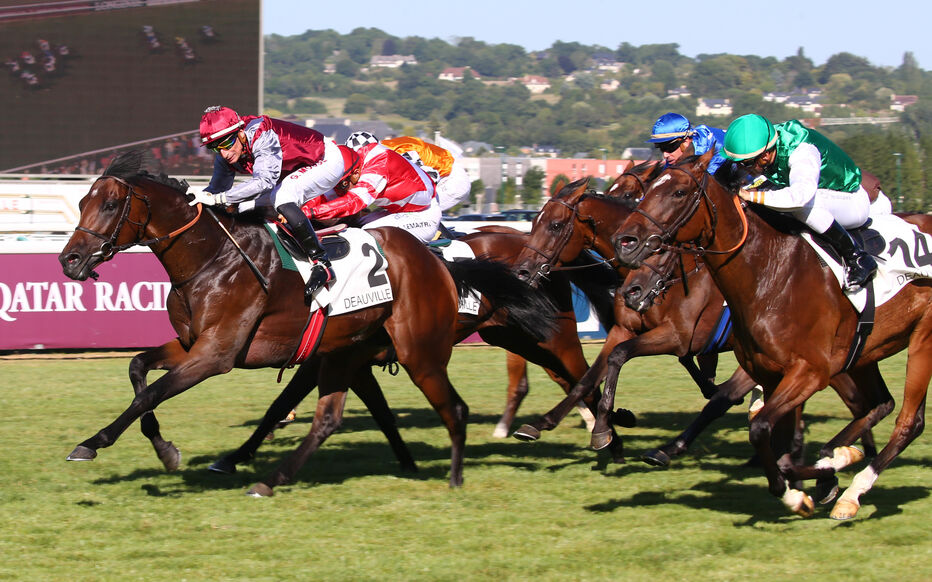 découvrez les pronostics du quinté+ pmu pour le mardi à deauville avec sœur favorite dans le prix giverny. analyse, conseils et résultats en direct pour maximiser vos gains.