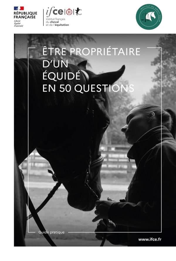 Comment réussir la vente de son cheval : guide complet pour propriétaires