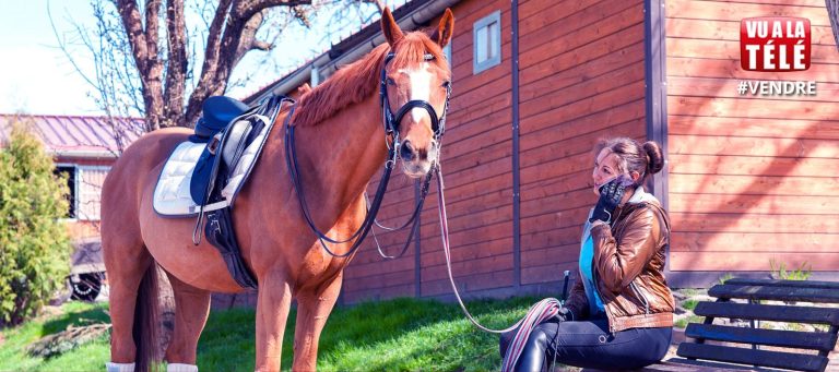 Comment vendre un cheval rapidement et en toute sécurité : guide complet