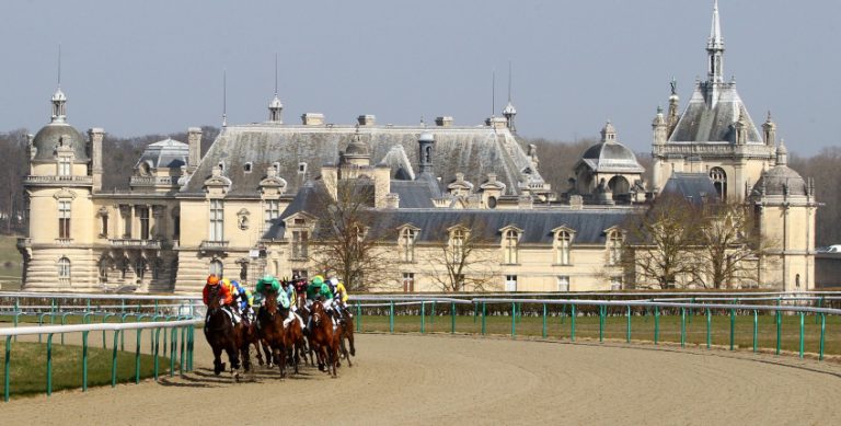 Quelle est la vitesse maximale d’un cheval et comment l’atteindre ?