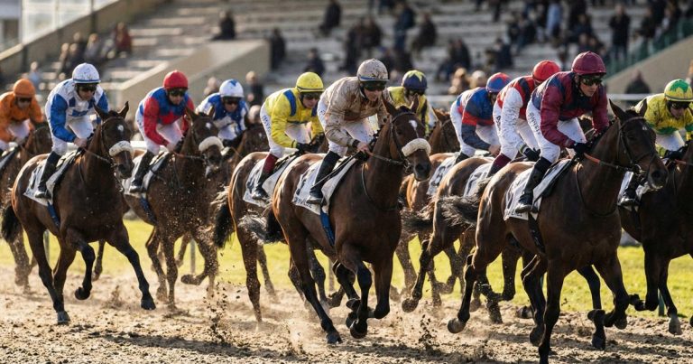 Quinté Plus PMU : Jasmine de Vau, une concurrente à surveiller de près